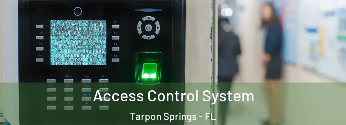 Access Control System Tarpon Springs - FL