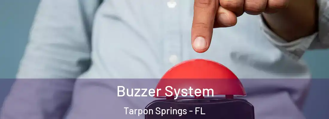 Buzzer System Tarpon Springs - FL