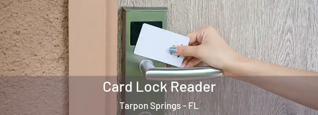 Card Lock Reader Tarpon Springs - FL