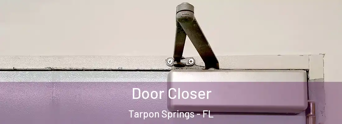 Door Closer Tarpon Springs - FL