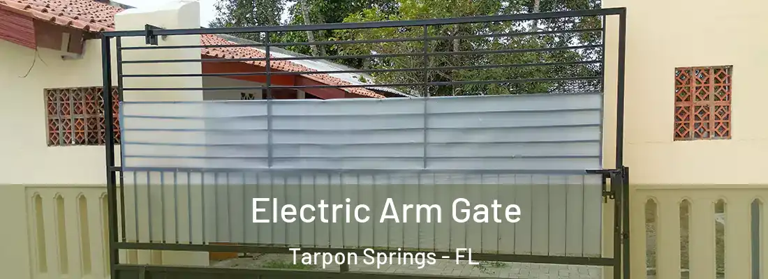 Electric Arm Gate Tarpon Springs - FL