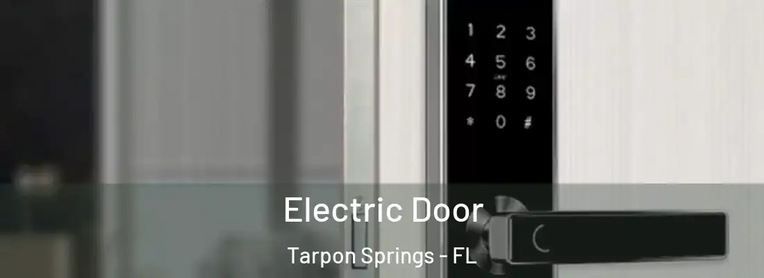  Electric Door Tarpon Springs - FL