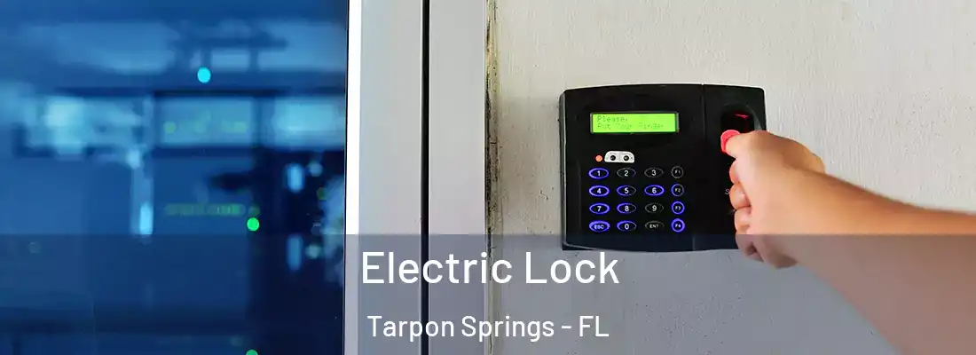  Electric Lock Tarpon Springs - FL
