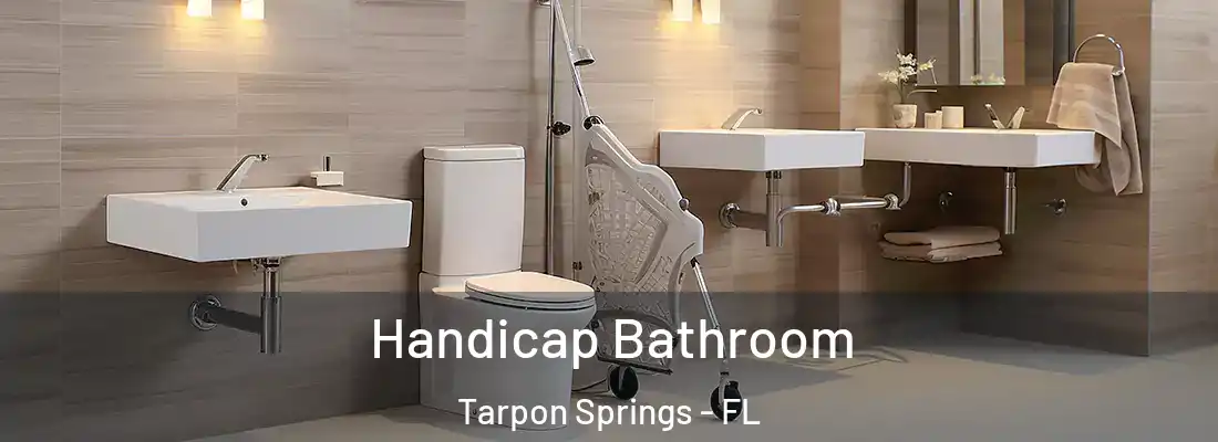  Handicap Bathroom Tarpon Springs - FL