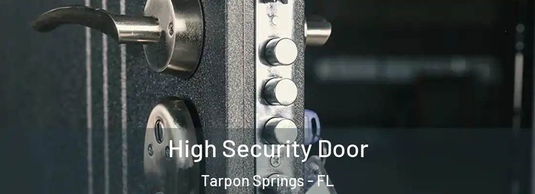 High Security Door Tarpon Springs - FL