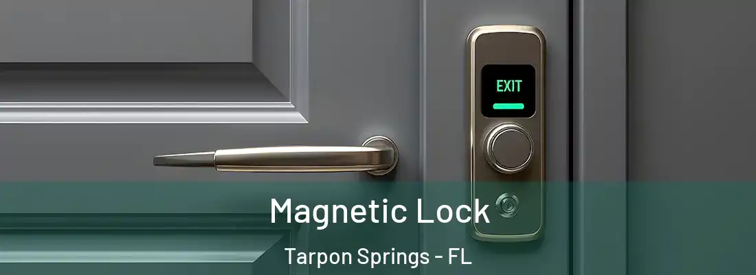 Magnetic Lock Tarpon Springs - FL