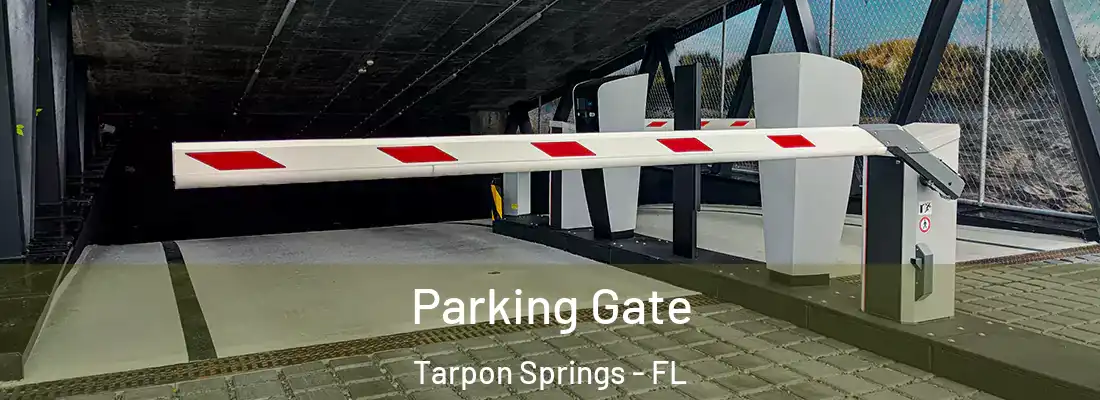 Parking Gate Tarpon Springs - FL