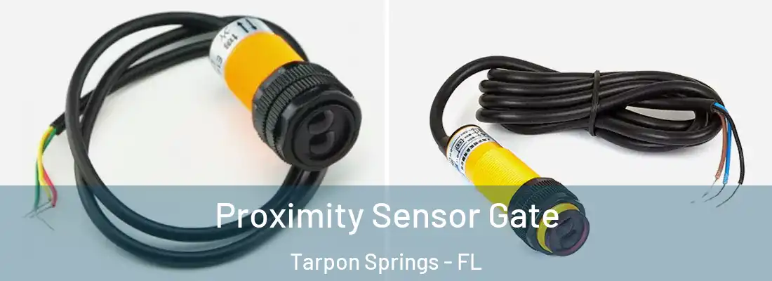 Proximity Sensor Gate Tarpon Springs - FL