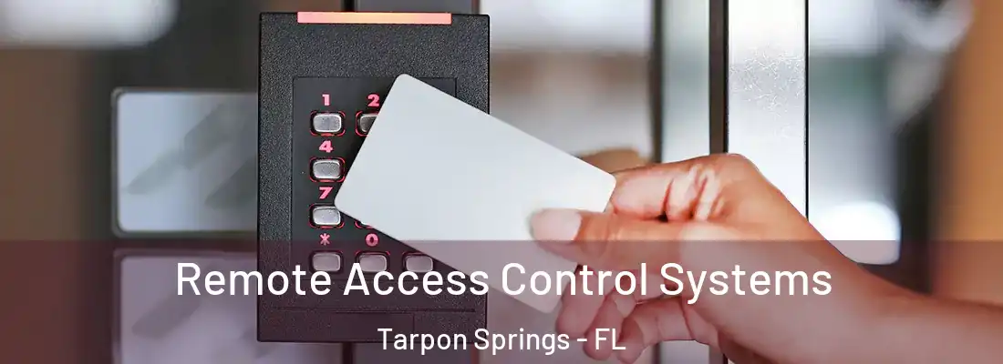Remote Access Control Systems Tarpon Springs - FL