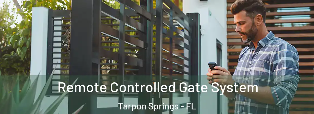 Remote Controlled Gate System Tarpon Springs - FL