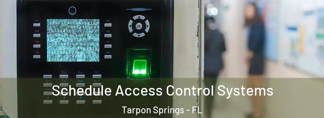 Schedule Access Control Systems Tarpon Springs - FL