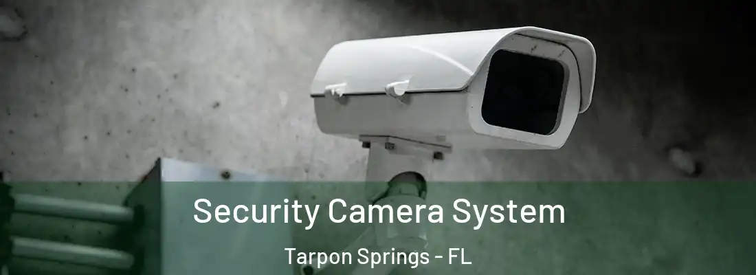 Security Camera System Tarpon Springs - FL