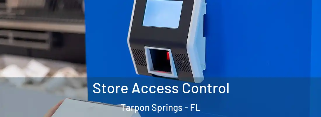 Store Access Control Tarpon Springs - FL