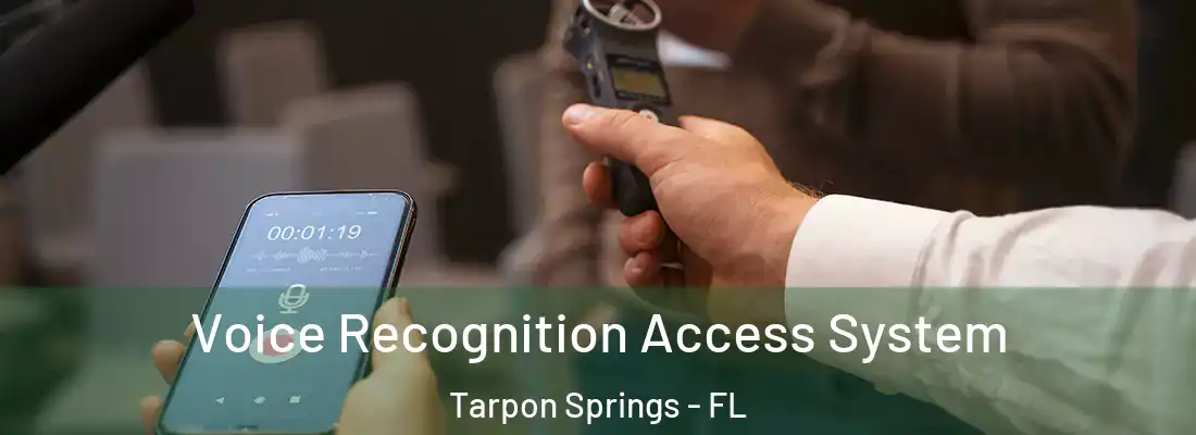 Voice Recognition Access System Tarpon Springs - FL